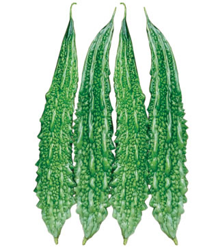 bittergourd