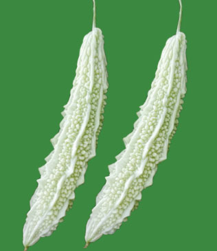 bittergourd