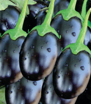 Brinjals