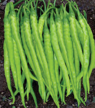 Chillies (Green)
