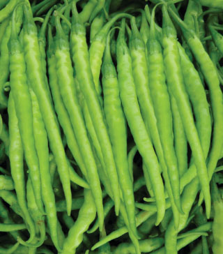 Chillies (Green)