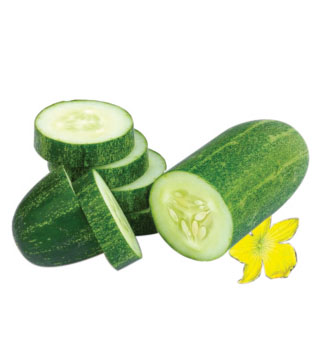 Cucumber