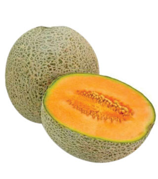 Muskmelon
