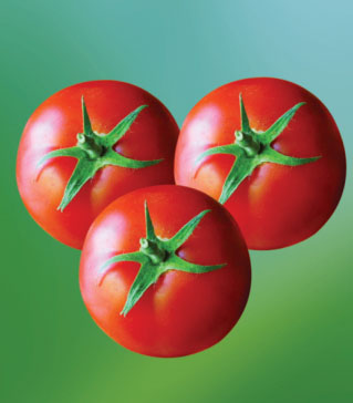Tomato