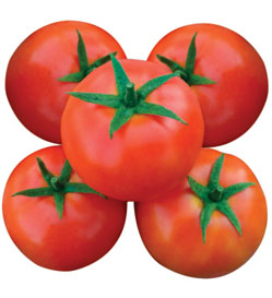 Tomato