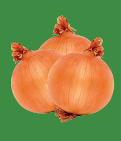 Onion
