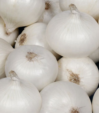 Onion