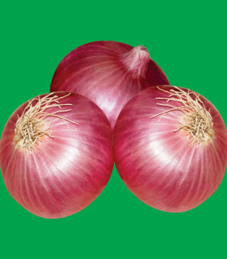 Onion