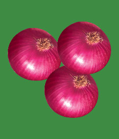 Onion