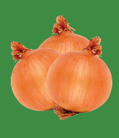 Onion